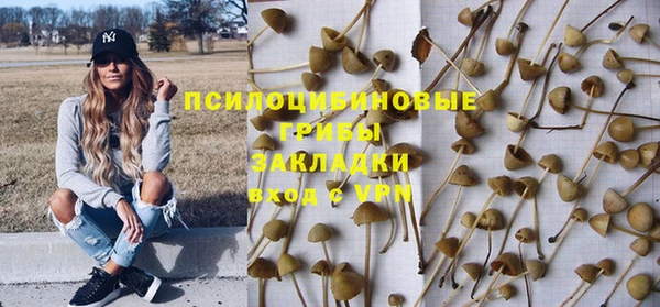 прущие крисы Новодвинск