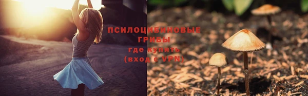 mdpv Нефтекумск