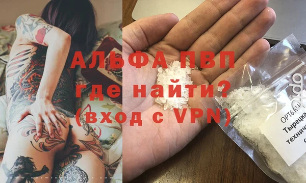 крисы Новокубанск