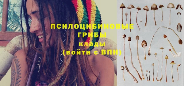 mdpv Нефтекумск