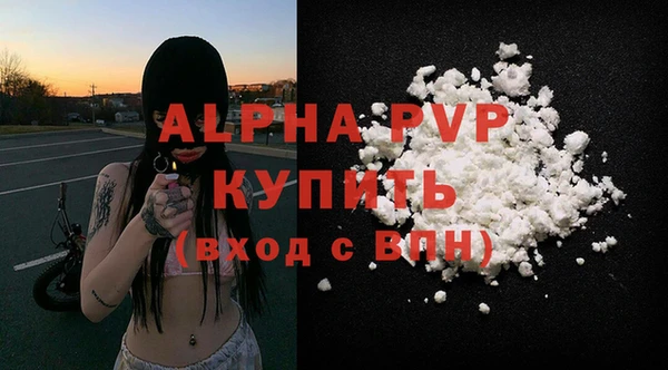 прущие крисы Новодвинск