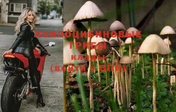 прущие крисы Новодвинск