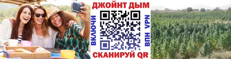 где купить наркотик  Куровское  Каннабис THC 21% 